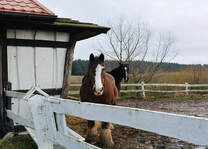 Zasypane Mazury, Sun & Snow * Orlo