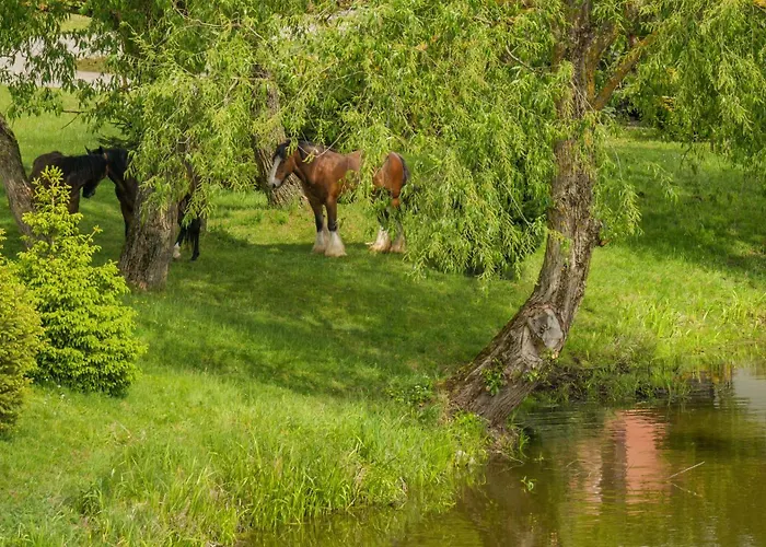 Apartmán Zasypane Mazury, Sun & Snow